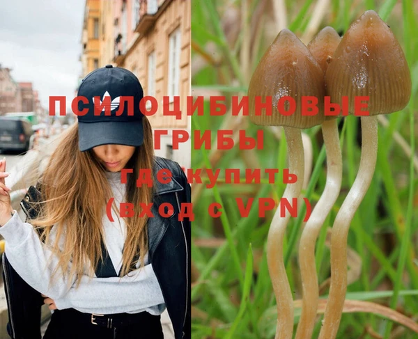 спиды Бугульма