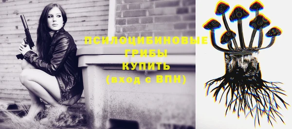 СК Бородино
