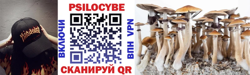 Галлюциногенные грибы мицелий Тула